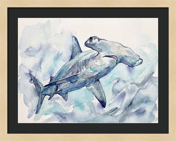 Hammerhead Shark Serenity