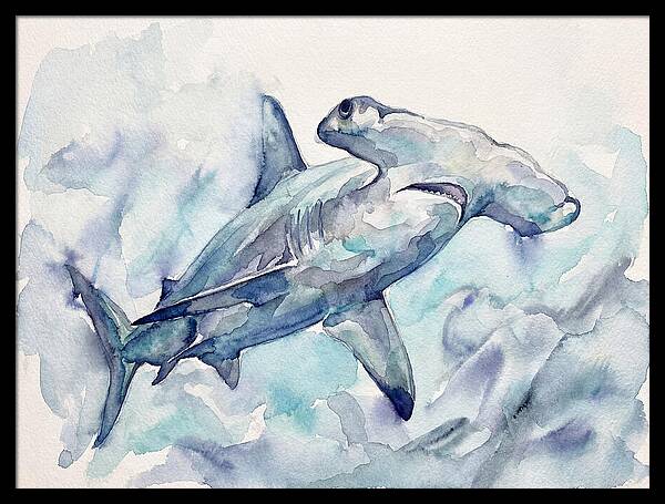 Hammerhead Shark Serenity