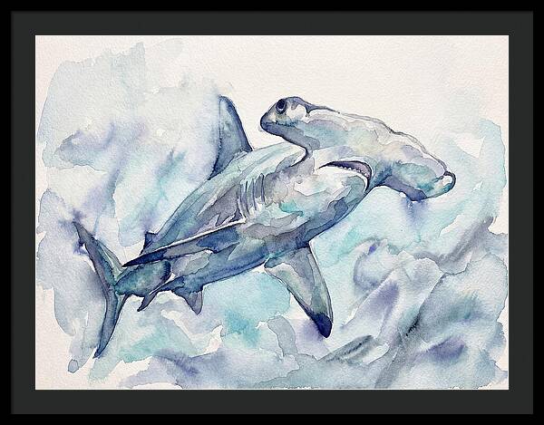 Hammerhead Shark Serenity