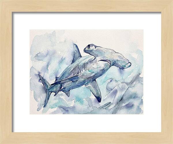 Hammerhead Shark Serenity