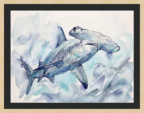 Hammerhead Shark Serenity