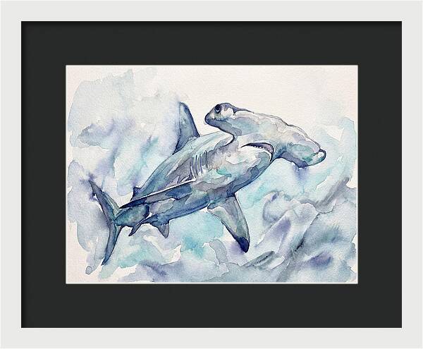 Hammerhead Shark Serenity