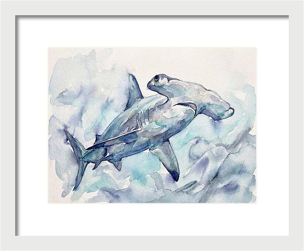 Hammerhead Shark Serenity