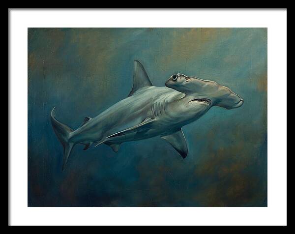 Hammerhead Shark Underwater