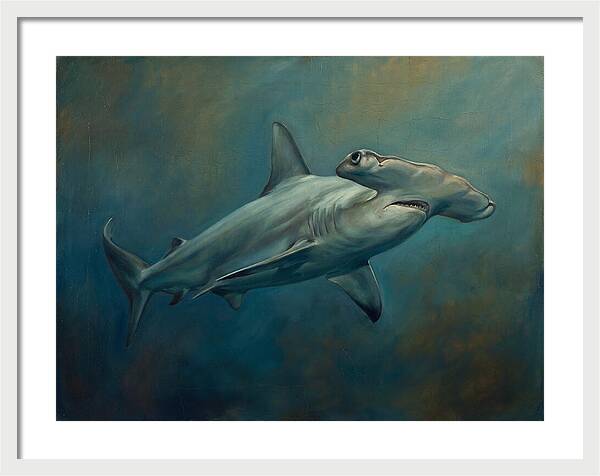 Hammerhead Shark Underwater