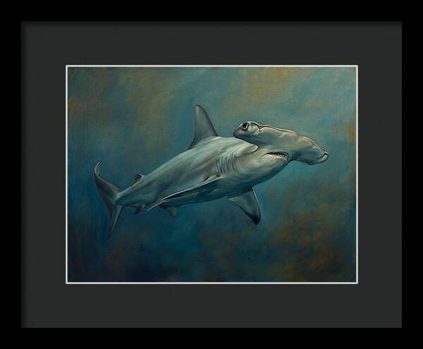 Hammerhead Shark Underwater
