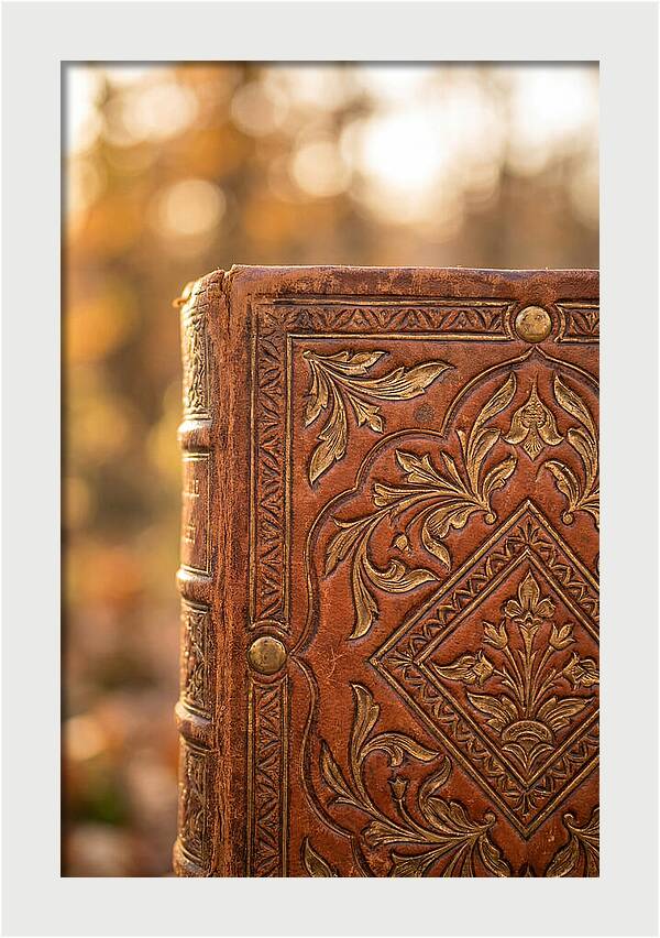 Hand Tooled Leather Elegance