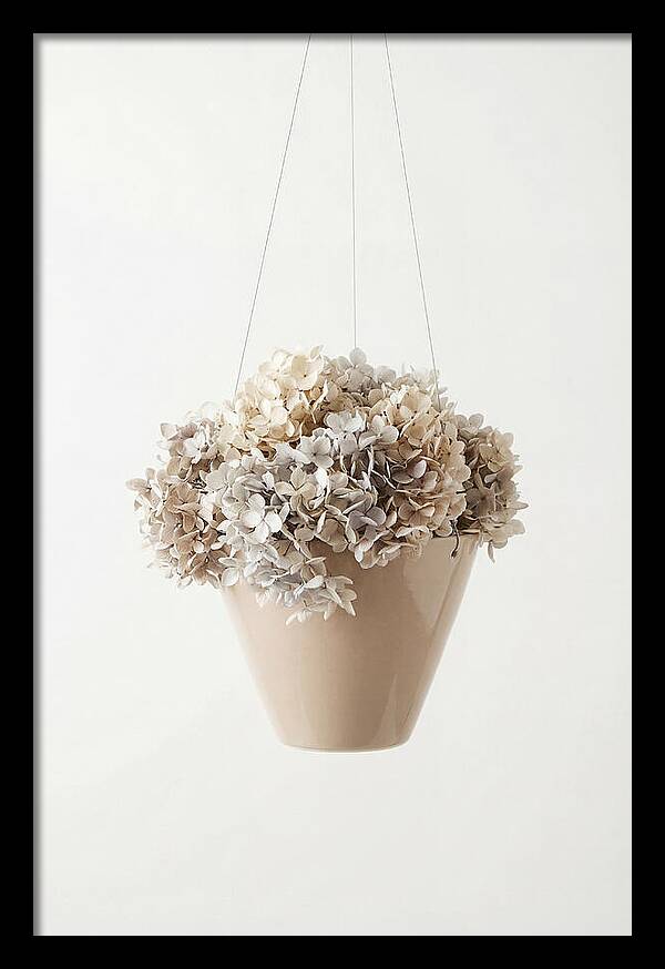 Hanging Basket Cascading With Petals
