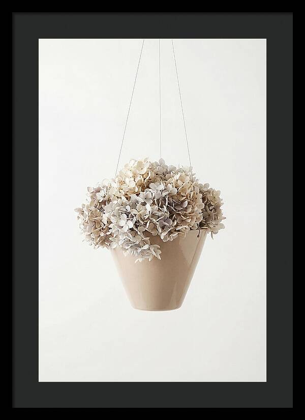 Hanging Basket Cascading With Petals