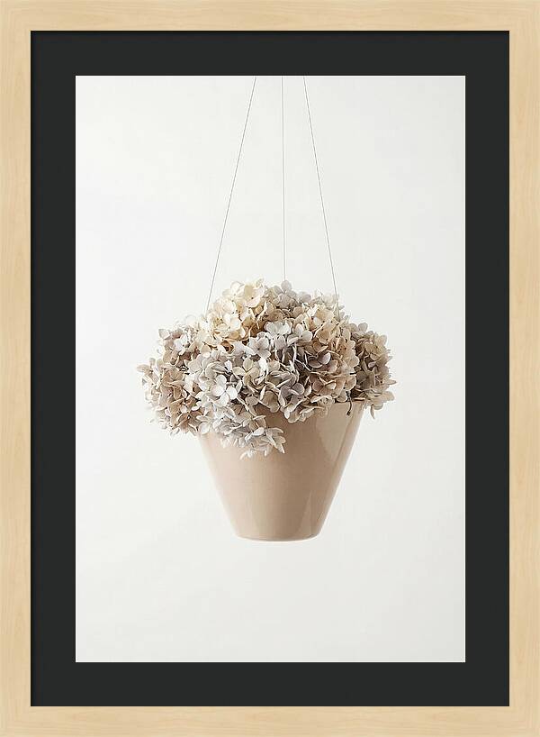 Hanging Basket Cascading With Petals