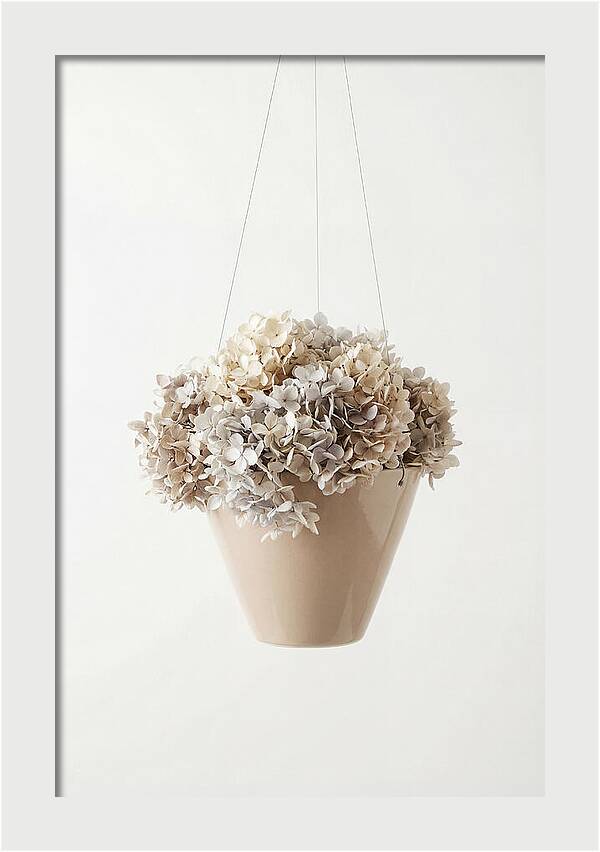 Hanging Basket Cascading With Petals