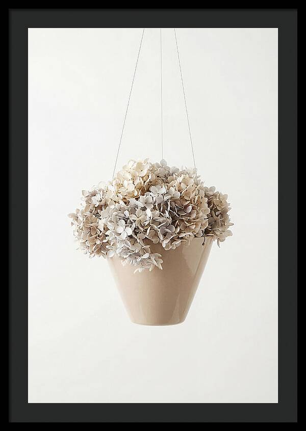 Hanging Basket Cascading With Petals
