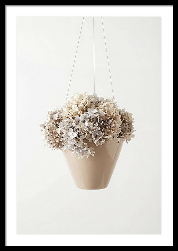 Hanging Basket Cascading With Petals