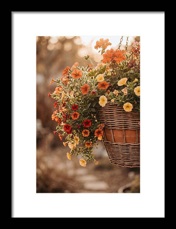 Hanging Basket Of Cascading Blooms