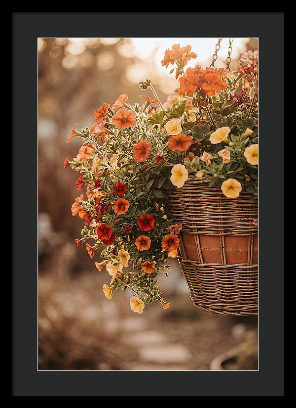 Hanging Basket Of Cascading Blooms