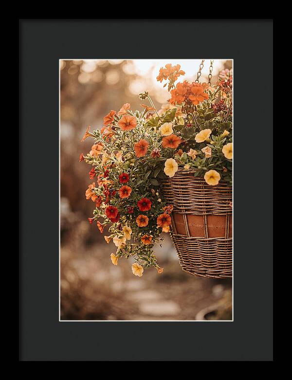 Hanging Basket Of Cascading Blooms