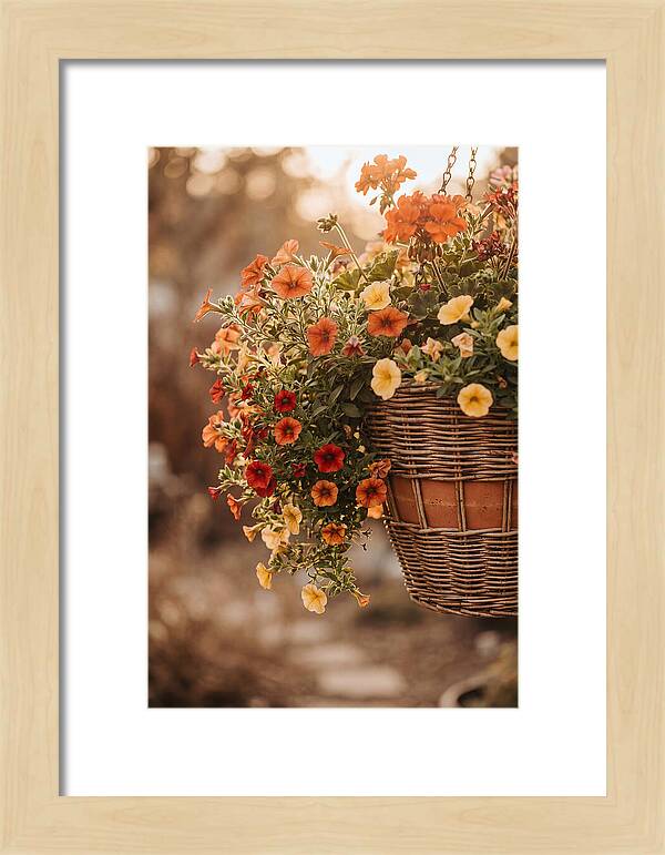 Hanging Basket Of Cascading Blooms