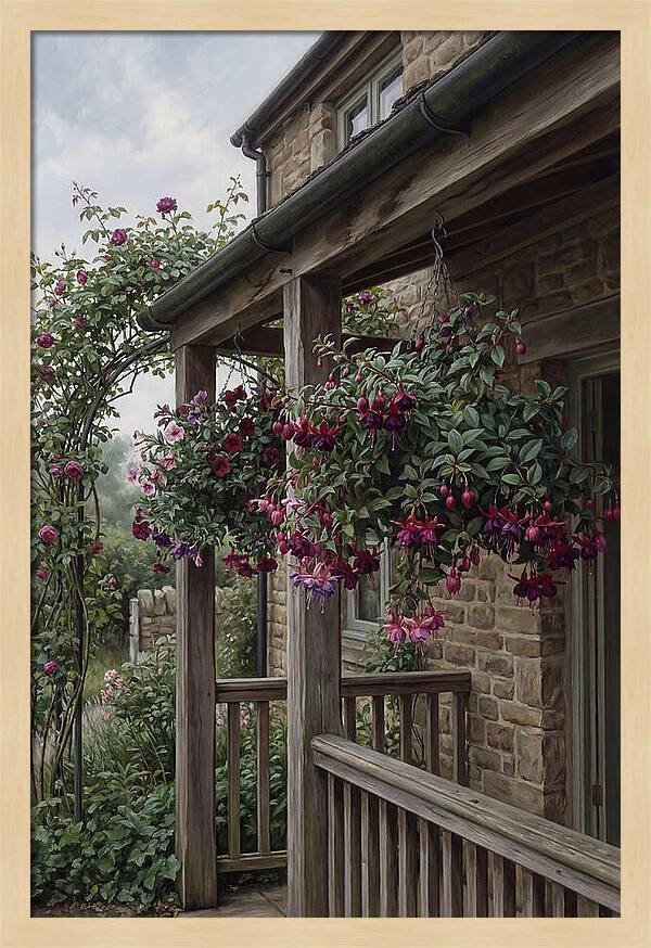 Hanging Baskets Of Fuchsia