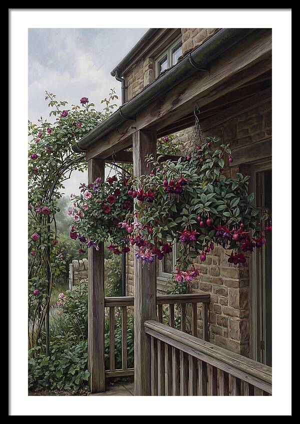 Hanging Baskets Of Fuchsia