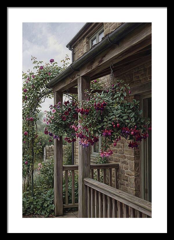 Hanging Baskets Of Fuchsia