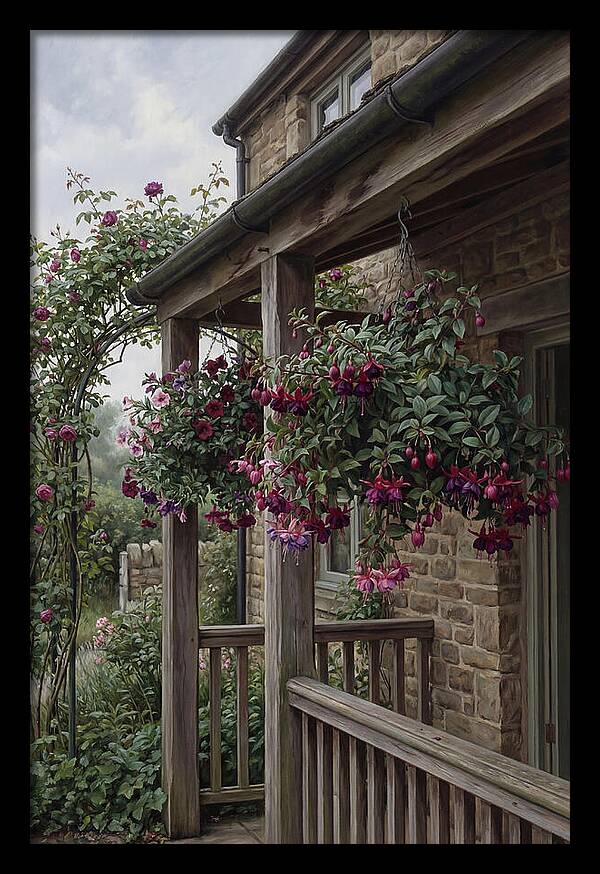 Hanging Baskets Of Fuchsia