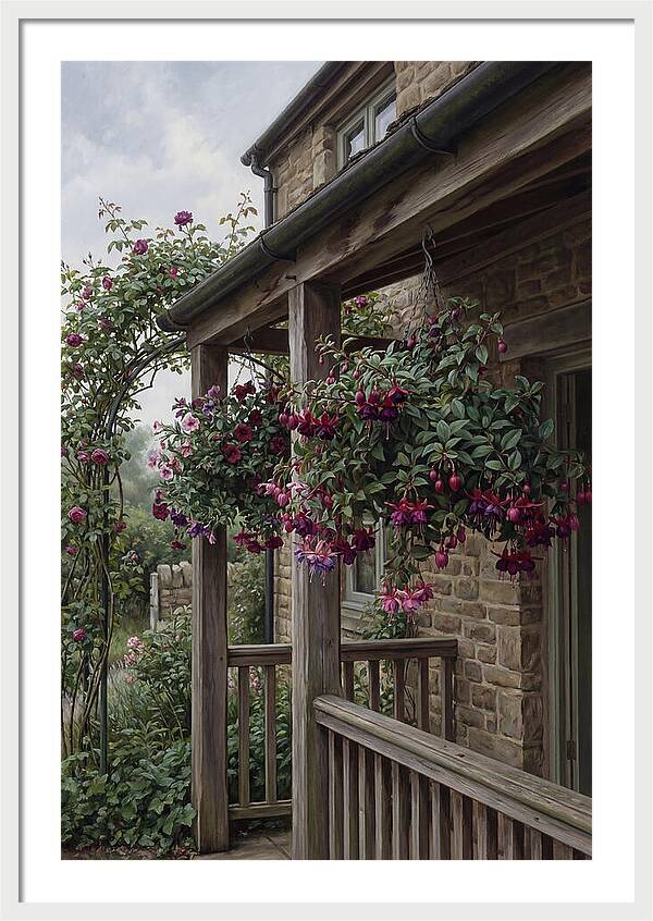 Hanging Baskets Of Fuchsia