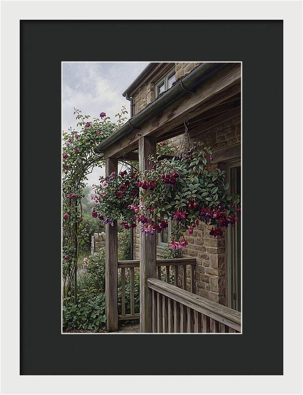 Hanging Baskets Of Fuchsia