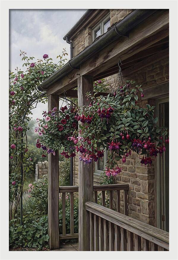 Hanging Baskets Of Fuchsia
