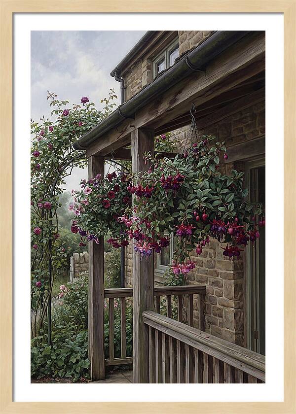 Hanging Baskets Of Fuchsia
