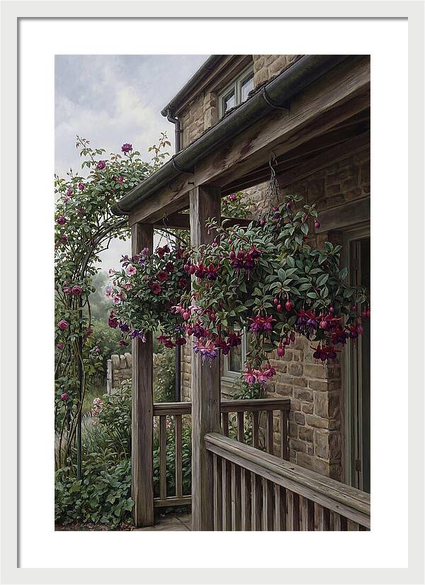 Hanging Baskets Of Fuchsia