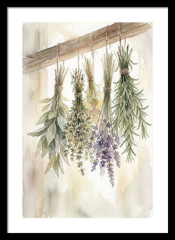 Hanging Dried Herbs