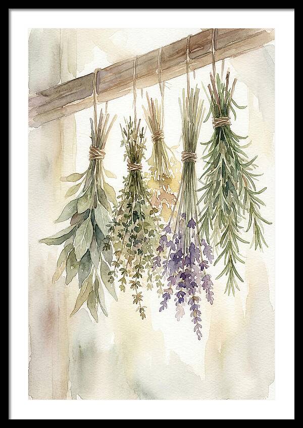 Hanging Dried Herbs