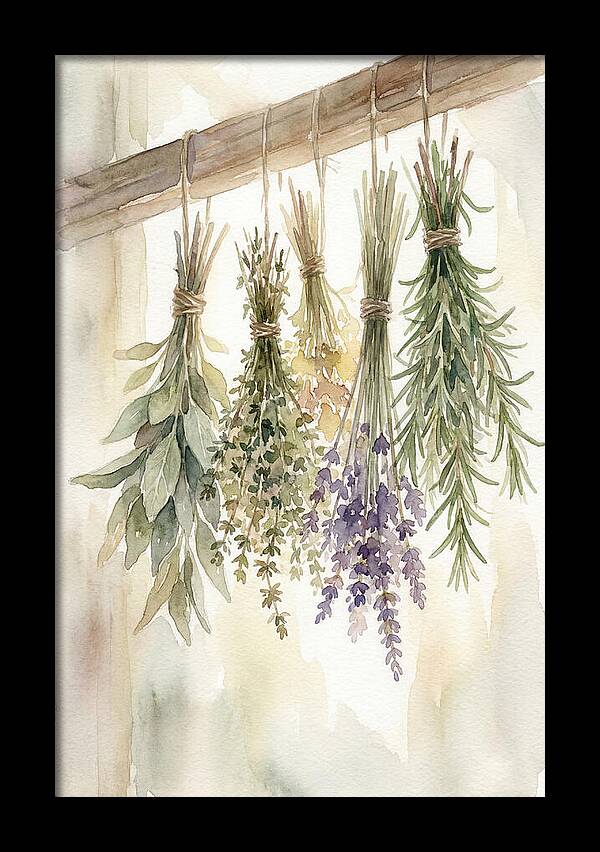 Hanging Dried Herbs