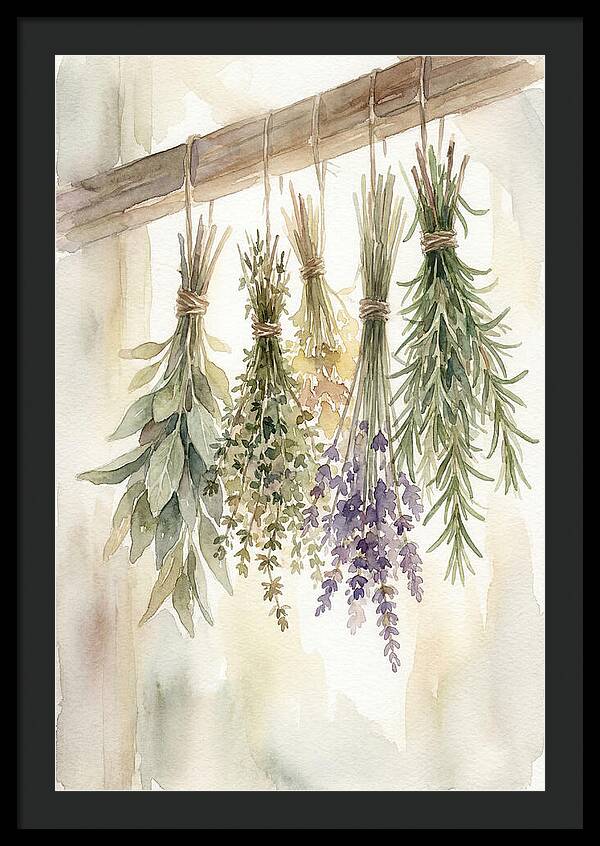 Hanging Dried Herbs