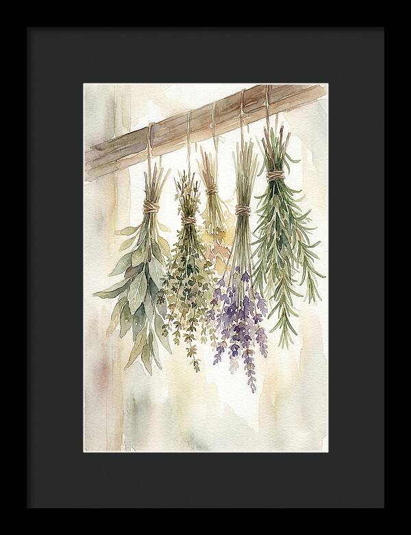 Hanging Dried Herbs