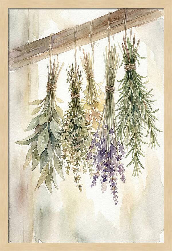 Hanging Dried Herbs
