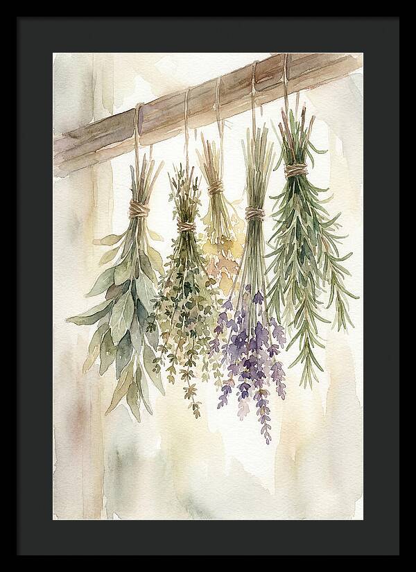 Hanging Dried Herbs