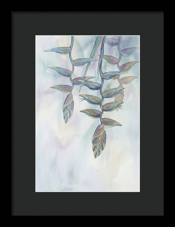 Hanging Heliconia Blooms