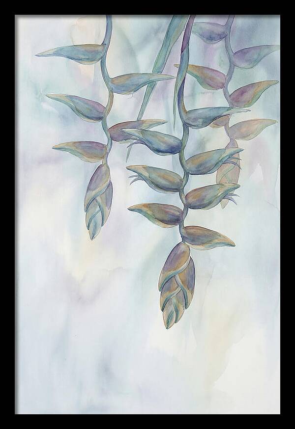 Hanging Heliconia Blooms