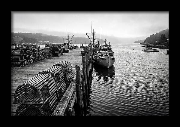 Harbor Serenity In Black And White