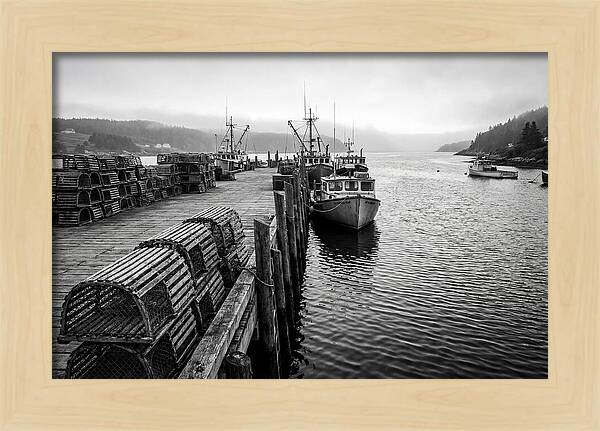 Harbor Serenity In Black And White