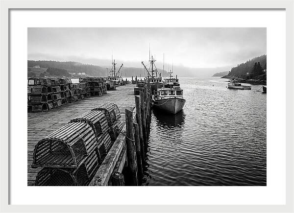 Harbor Serenity In Black And White