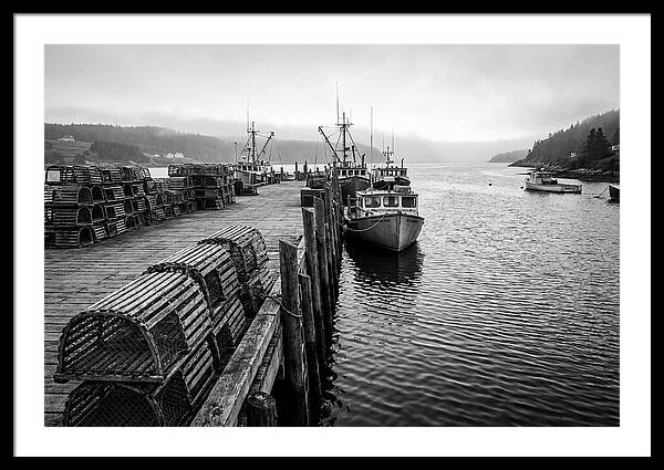 Harbor Serenity In Black And White