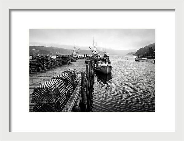 Harbor Serenity In Black And White