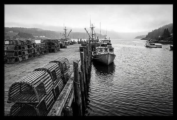 Harbor Serenity In Black And White