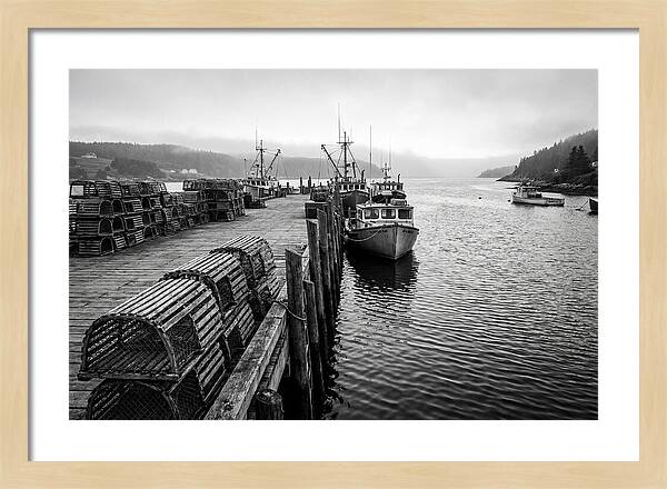 Harbor Serenity In Black And White