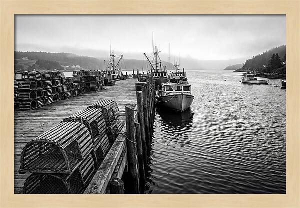 Harbor Serenity In Black And White