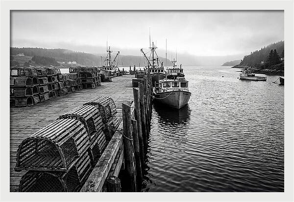 Harbor Serenity In Black And White