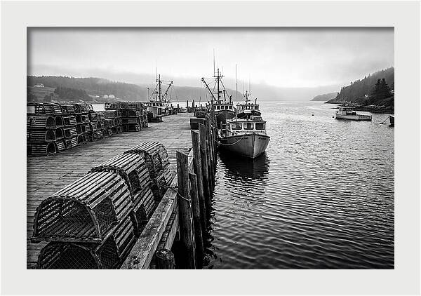 Harbor Serenity In Black And White