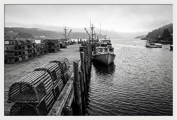 Harbor Serenity In Black And White